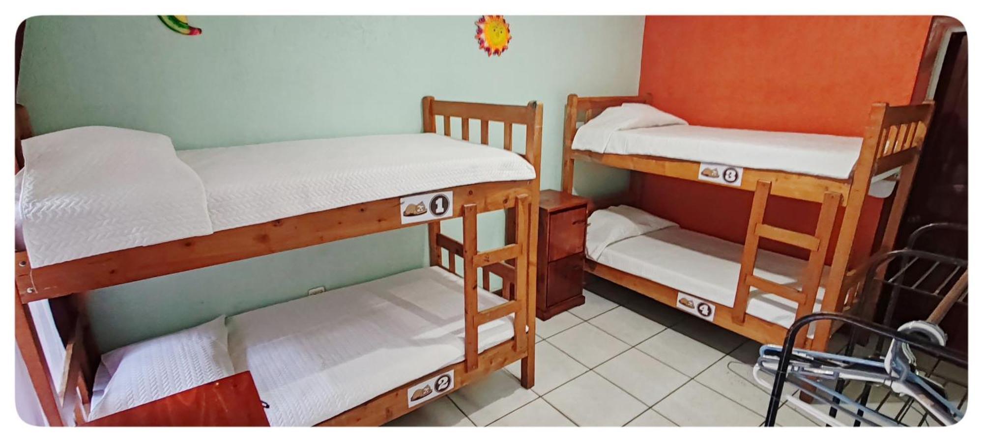 Hotel & Hostel Sloth Backpackers Монте-Верде Экстерьер фото